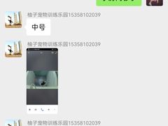 -柚子宠物(伊珊娜调理店)