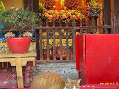 -龙华寺