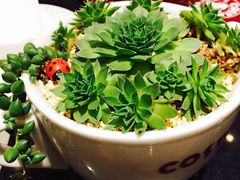 iphone_upload_pic-COSTA COFFEE(上海五玠坊店)