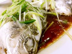 -凤城礼记鱼翅海鲜酒家(新马路总店)