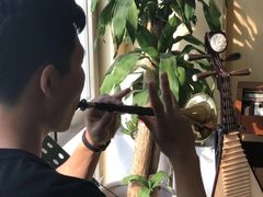 -音歆国艺馆·民乐培训(双榆树店)