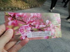 -桃花涧