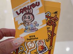 -泡泡玛特POPMART(天环购物中心店)