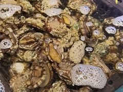 小鲍鱼-喜庭海鲜自助(来福士店)