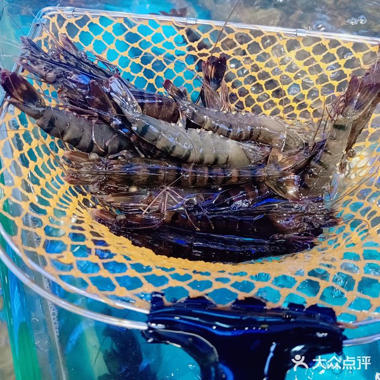 厦门集美顶级海鲜自助餐