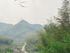 -宁波浙东大竹海景区