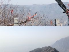 -神农山景区