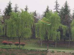 -洨河生态公园