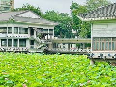 -荔湾湖公园