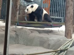 -武汉动物园