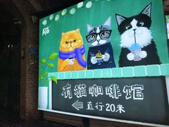 -有猫主题·治愈系猫咖(曾厝垵店)