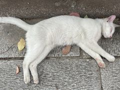 -宝通禅寺