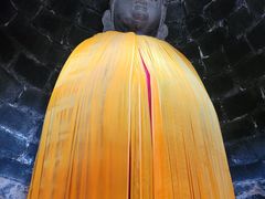 -白水寺森林公园