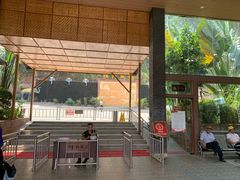 -瑞丽独树成林风景区