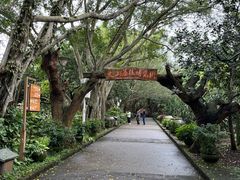 -海口火山口国家地质公园