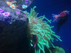 -成都浩海立方海洋公园