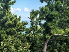 -崂山仰口游览区
