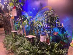 -正佳雨林生态植物园
