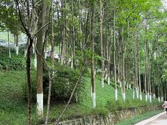 -重庆彩云湖湿地公园