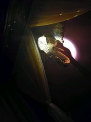 -琦品高端美容SPA私佳美场