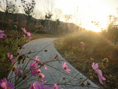 -苏州科技大学石湖校区-图书馆