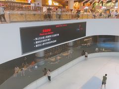 -TheRink大零溜冰场(IFS国金中心店)