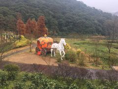 -广州市石门国家森林公园
