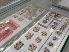 -北京中医药大学-中医药博物馆