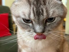 -雕刻时光·咖啡·酒吧·西餐(香山店)