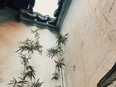-青果巷历史文化街区