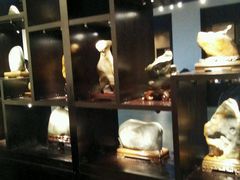 android_upload_pic-中华赏石园