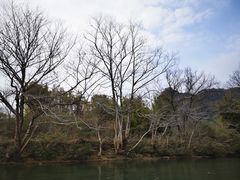 -九曲溪竹筏码头