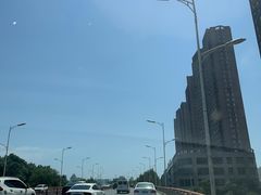 -八家子宠物市场