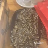 很喜欢实蛋 吃了三串 豆腐汤很喜欢 好喝 略有一点辣