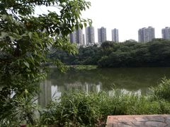 -重庆彩云湖湿地公园