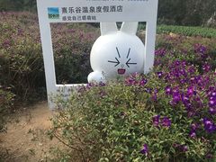 -清远熹乐谷温泉度假酒店