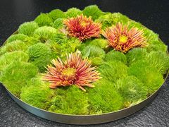 -大拙里·精致融合菜(沙湖桃源国际店)