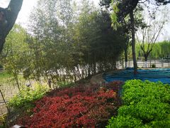 -康庄公园