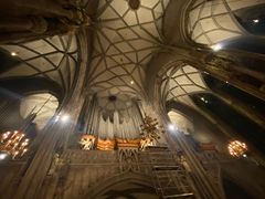 -斯蒂芬主教座堂(Stephansdom)
