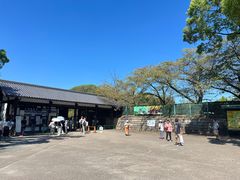 -名古屋城
