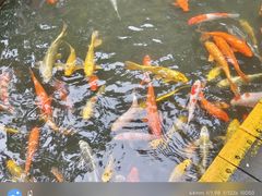 -海南槟榔谷黎苗文化旅游区