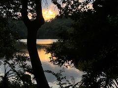 -深圳仙湖植物园