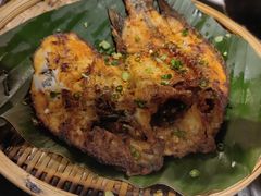 -志晖园圆子鸡·辣子鸡(阳光店)
