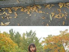 -中国计量大学(西校区)