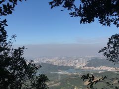 -梧桐山风景名胜区