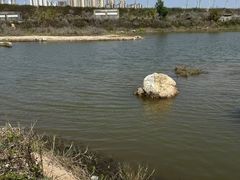 -珠海海泉湾度假区
