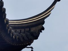 -红梅公园