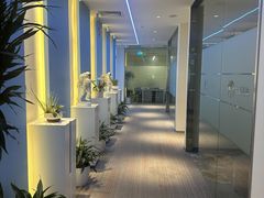 -爱氧森林·日本兴百世SHENPIX微高压氧舱