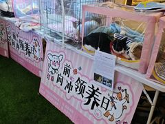 -瑞虹新天地月亮湾