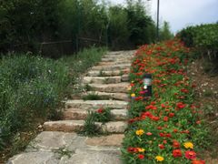 -帐篷客·溪龙茶谷度假酒店